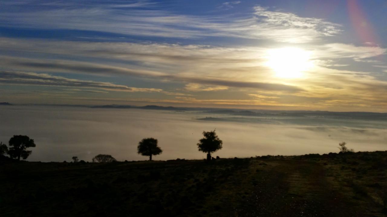 Wantana Cottage Farmstay Boorowa エクステリア 写真