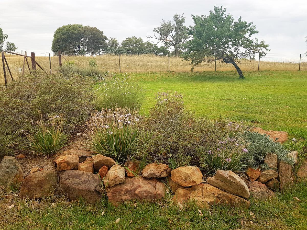 Wantana Cottage Farmstay Boorowa エクステリア 写真