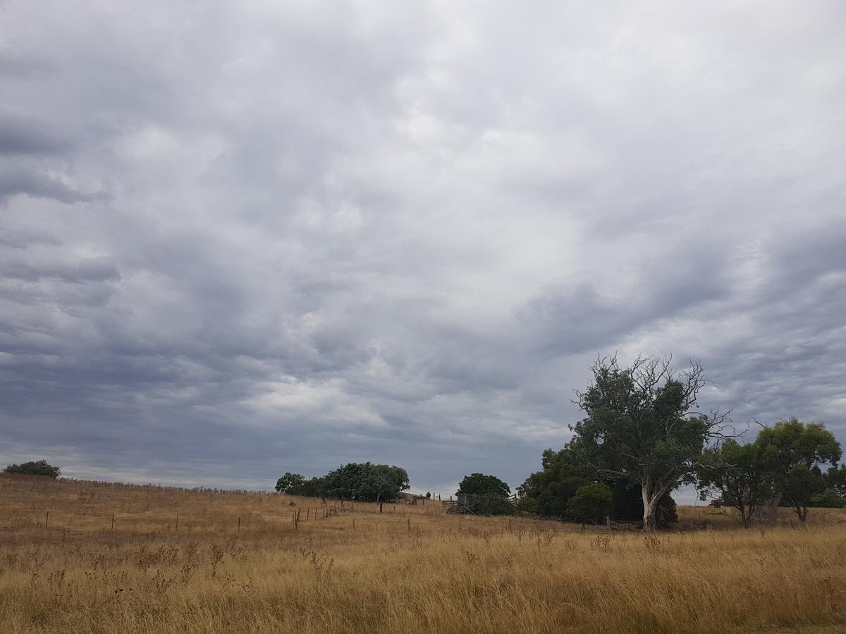 Wantana Cottage Farmstay Boorowa エクステリア 写真