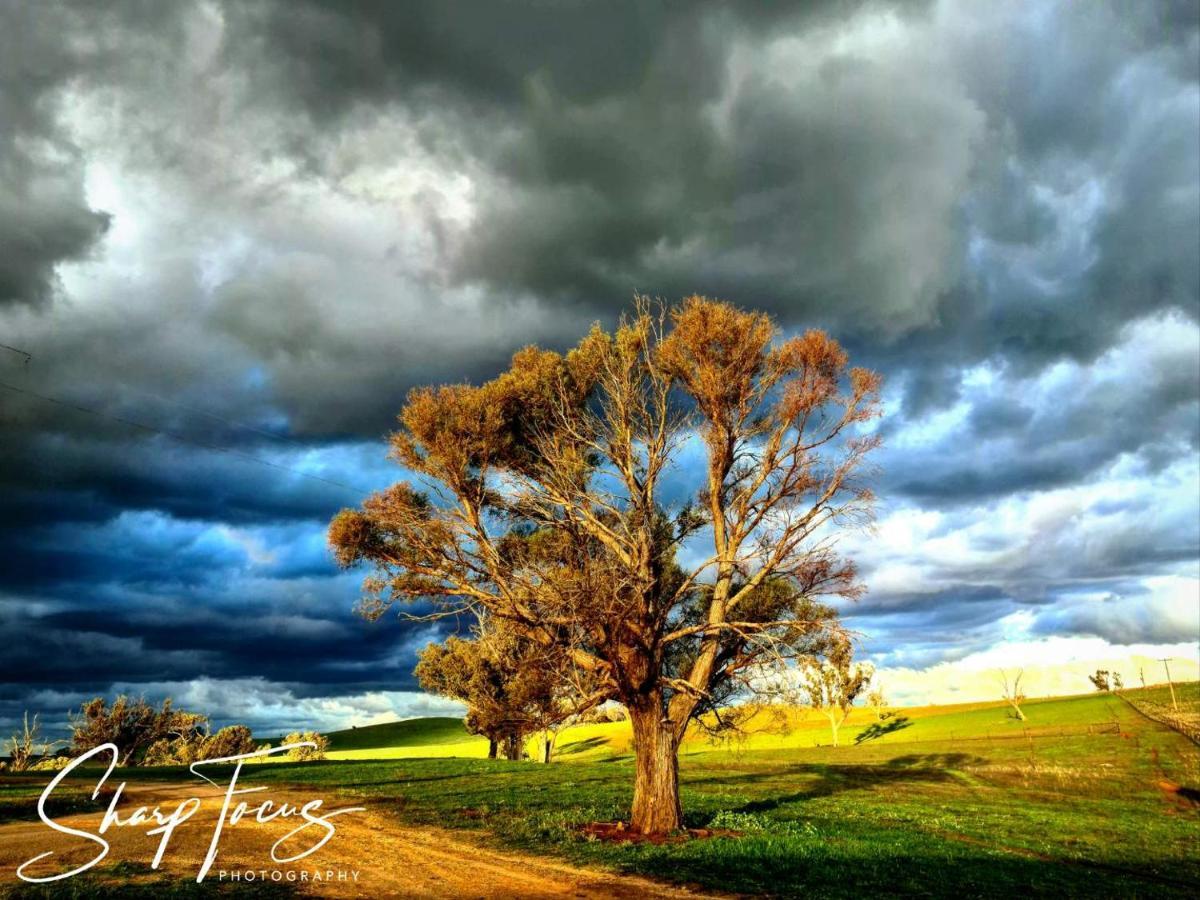 Wantana Cottage Farmstay Boorowa エクステリア 写真
